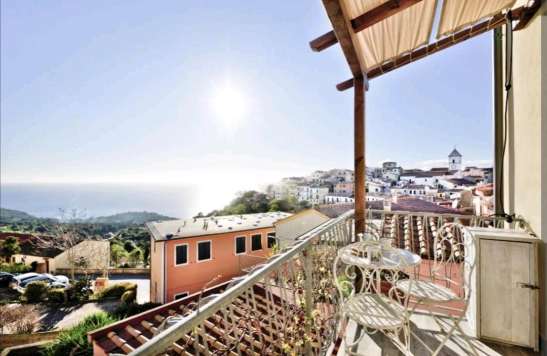 Il Balcone Su Montecristo, Bike Friendly - Goelba Daire Capoliveri  Dış mekan fotoğraf